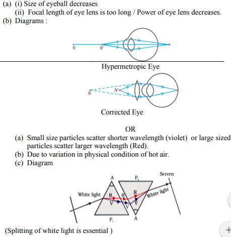 ncert solution class 10th science 31-2-1 question 24